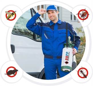 Emergency Pest Control Maple - Same-day Emergency Service Ontario