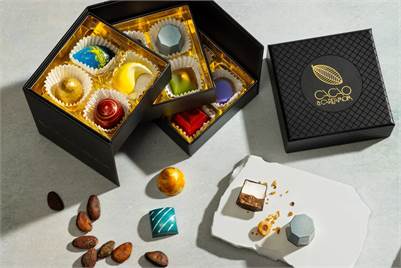 Christmas Chocolate Gifts: Choosing the Right Premium Box This Year