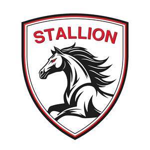 Stallion Auto Lab