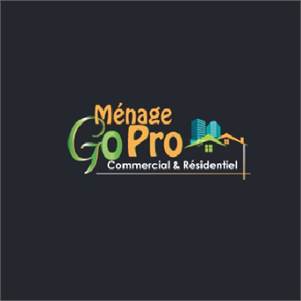 Go Pro Cleaning