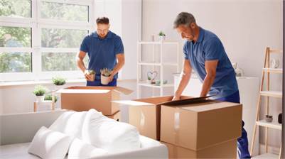 Professional Movers in Saint Marys, Ontario