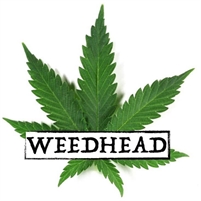 Cannabis Research store  Cox  Ben