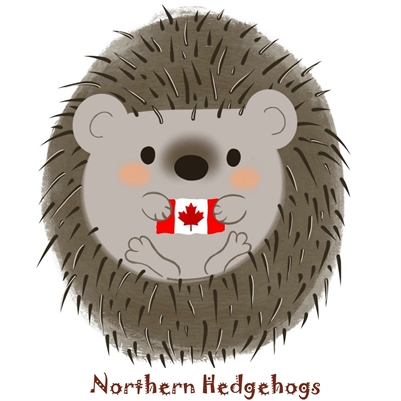  Northern  Hedgehogs