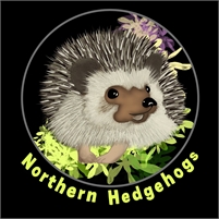  Northern  Hedgehogs